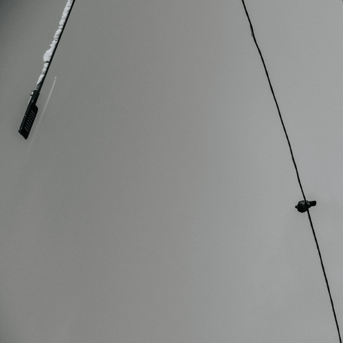 Photo #13932921