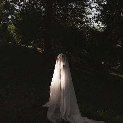 Photo #13932950