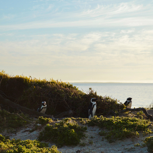 Photo #13932980