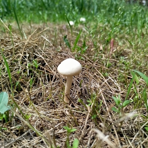 Photo #13933006