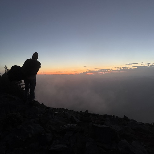 Photo #13933007