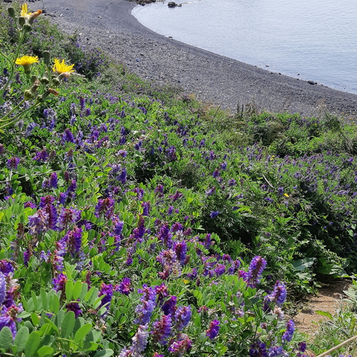 Photo #13933115