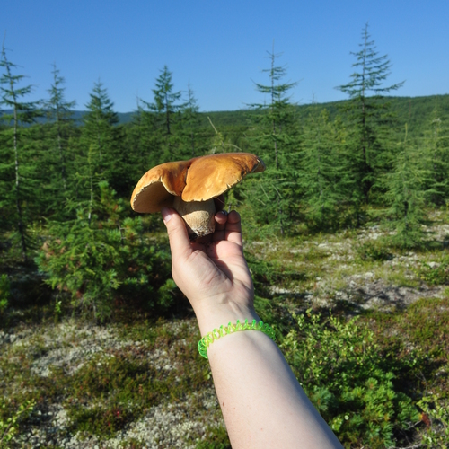 Photo #13933146