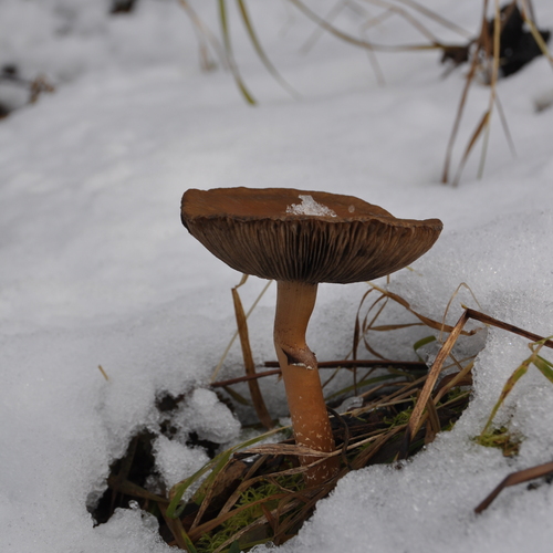 Photo #13933148