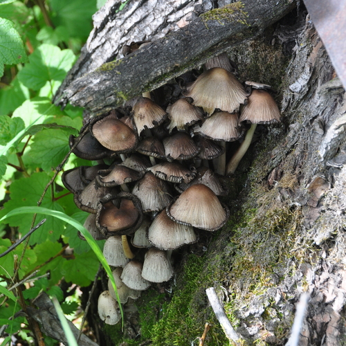 Photo #13933151