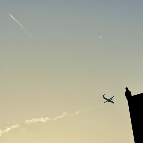 Take a flight