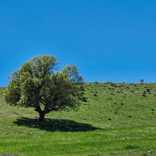 Photo #13933269