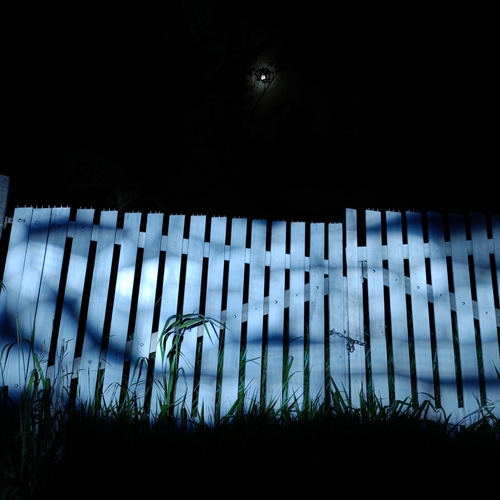 Photo #13933313