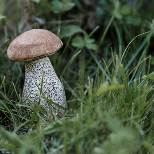 Photo #13933345