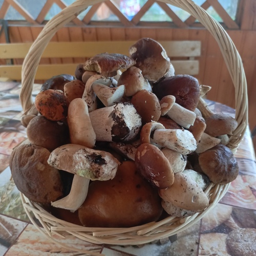 Photo #13933347