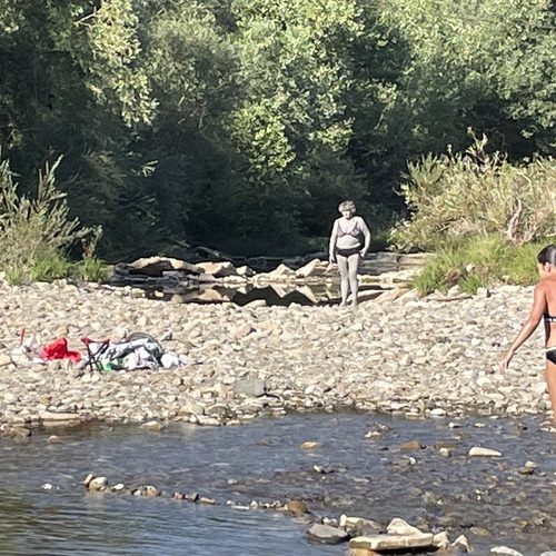 Photo #13933359