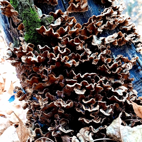 Photo #13933406