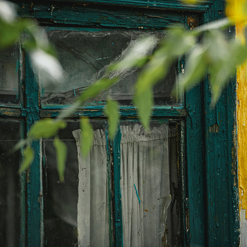 Photo #13933437