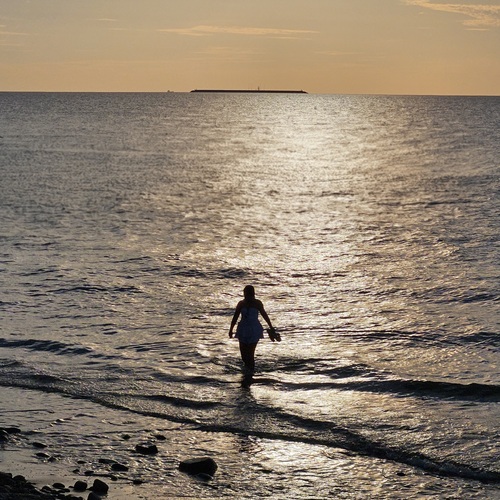 Photo #13933665