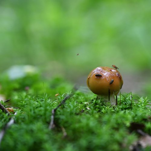 Photo #13933860