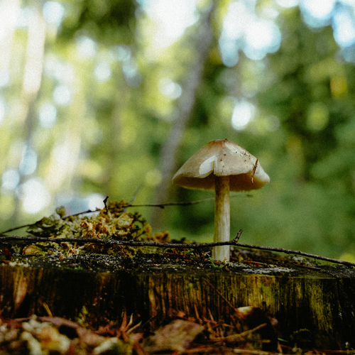 Photo #13933911