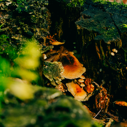 Photo #13933912