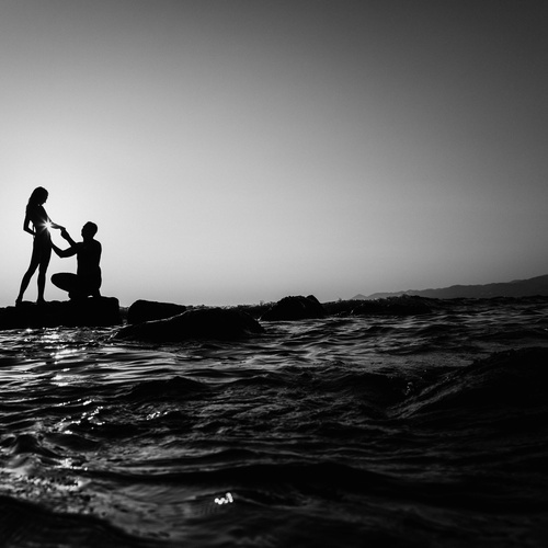 Photo #13933987