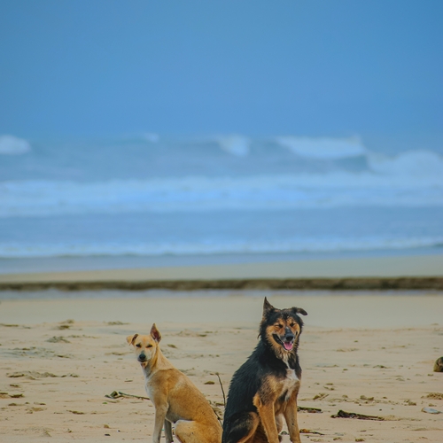 Photo #13934039