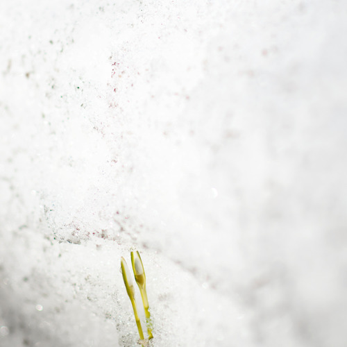 Photo #13934058