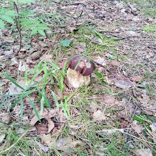 Photo #13934083
