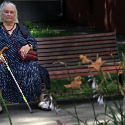 Photo #13934118