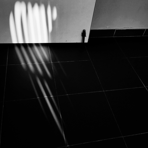 Photo #13934260