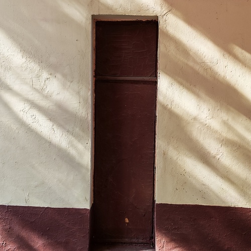 Photo #13934262