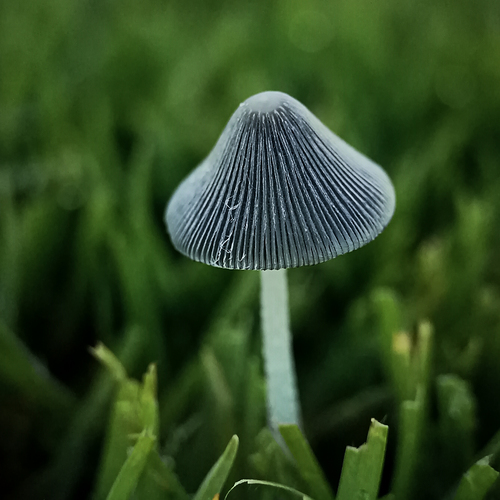A hidden world right under our feet!