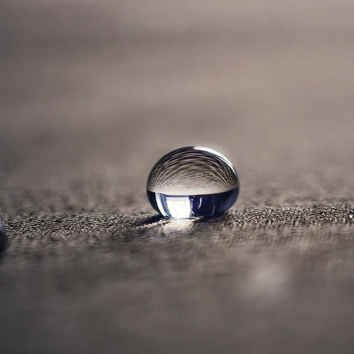 Photo #13934411