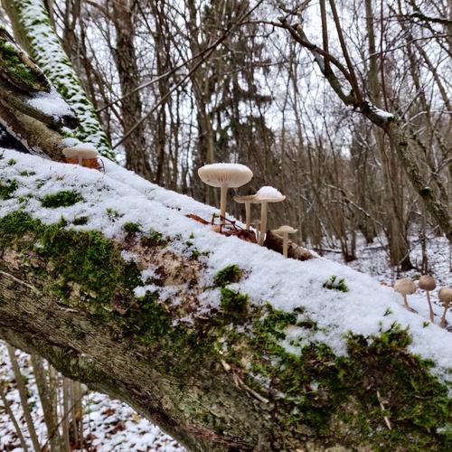 Photo #13934422