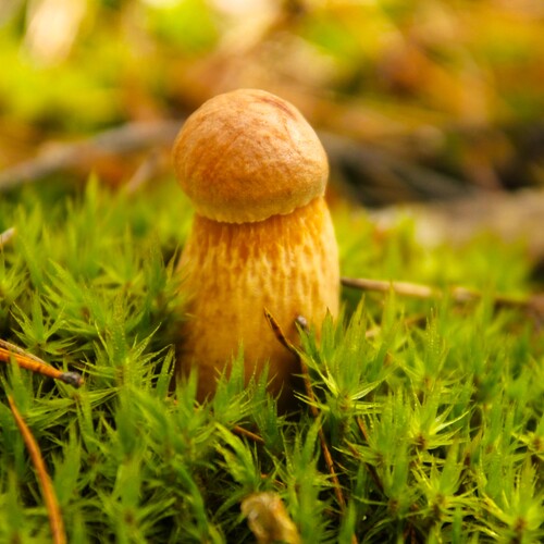 Photo #13934440