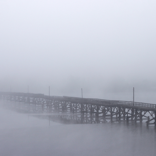 Photo #13934446