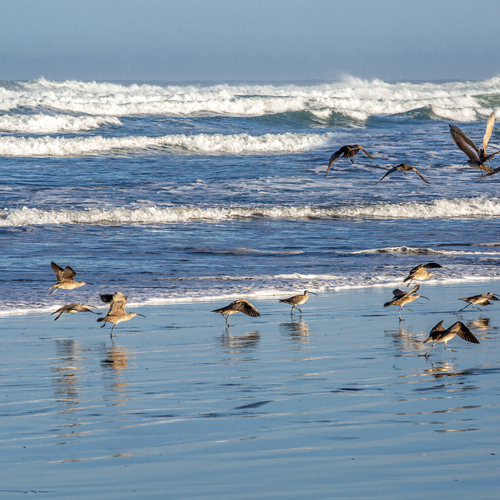 Photo #13934457