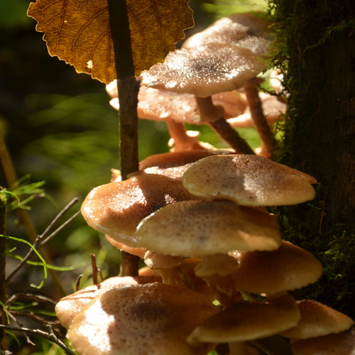 Photo #13934553