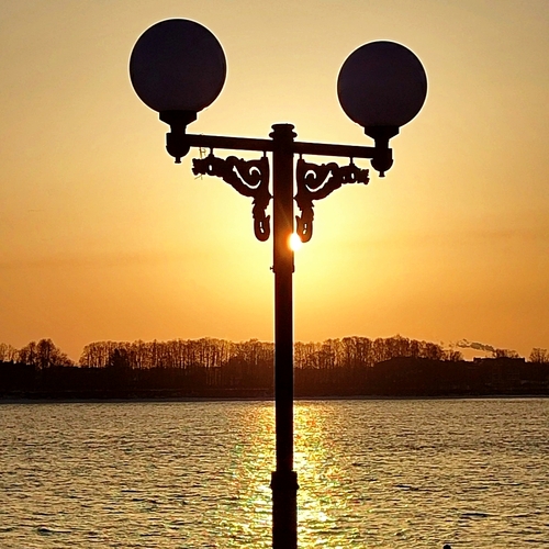 Photo #13934648