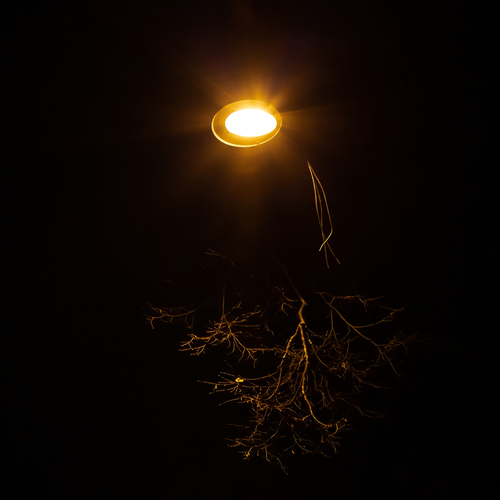 Photo #13934697