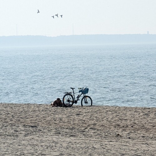 Photo #13935033