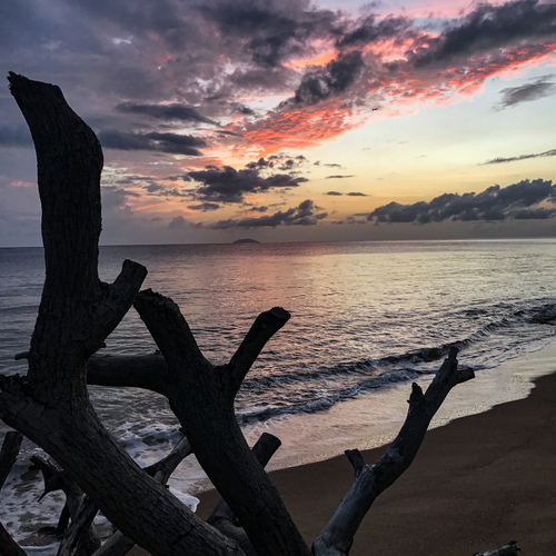 Photo #13935083