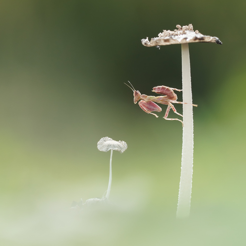 Photo #13935086