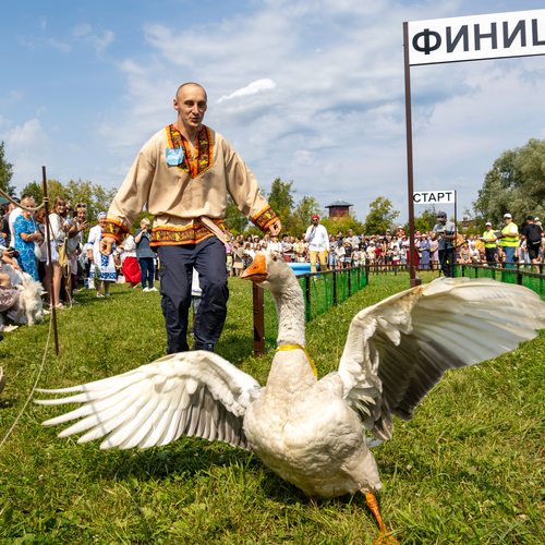 Победитель