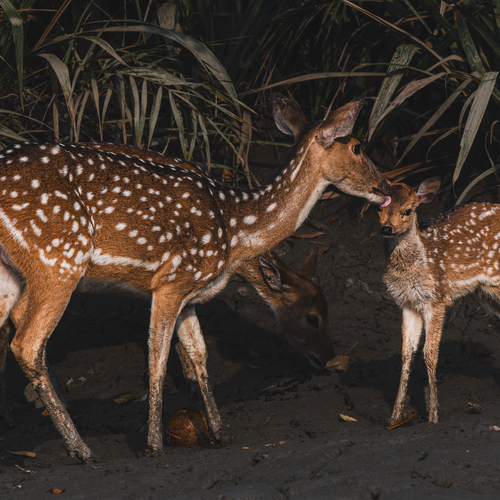 Photo #13935190