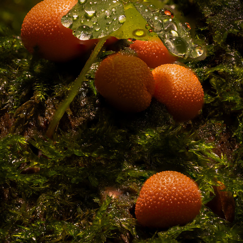 Photo #13935199