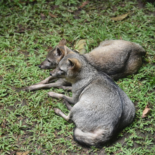 Photo #13935312