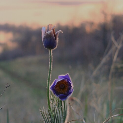 Photo #13935322