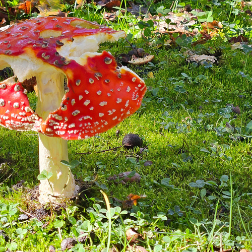 Photo #13935392