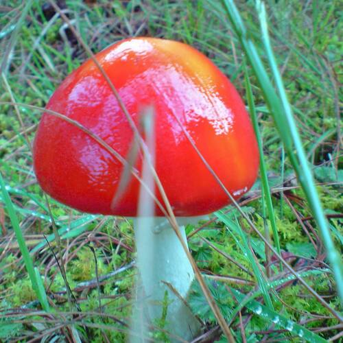 Photo #13935413