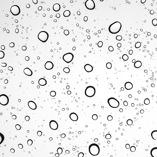 Droplets on Window
