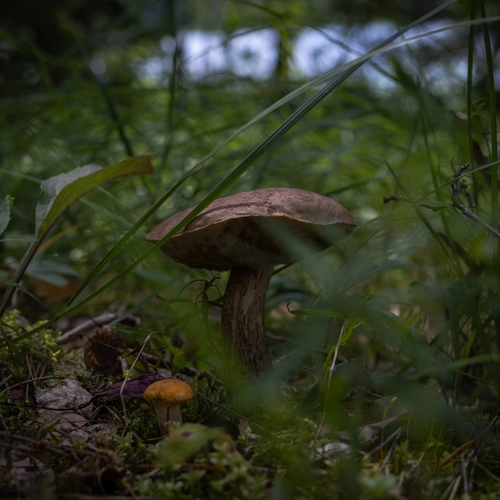 Photo #13935504
