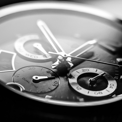 Photo #13935554